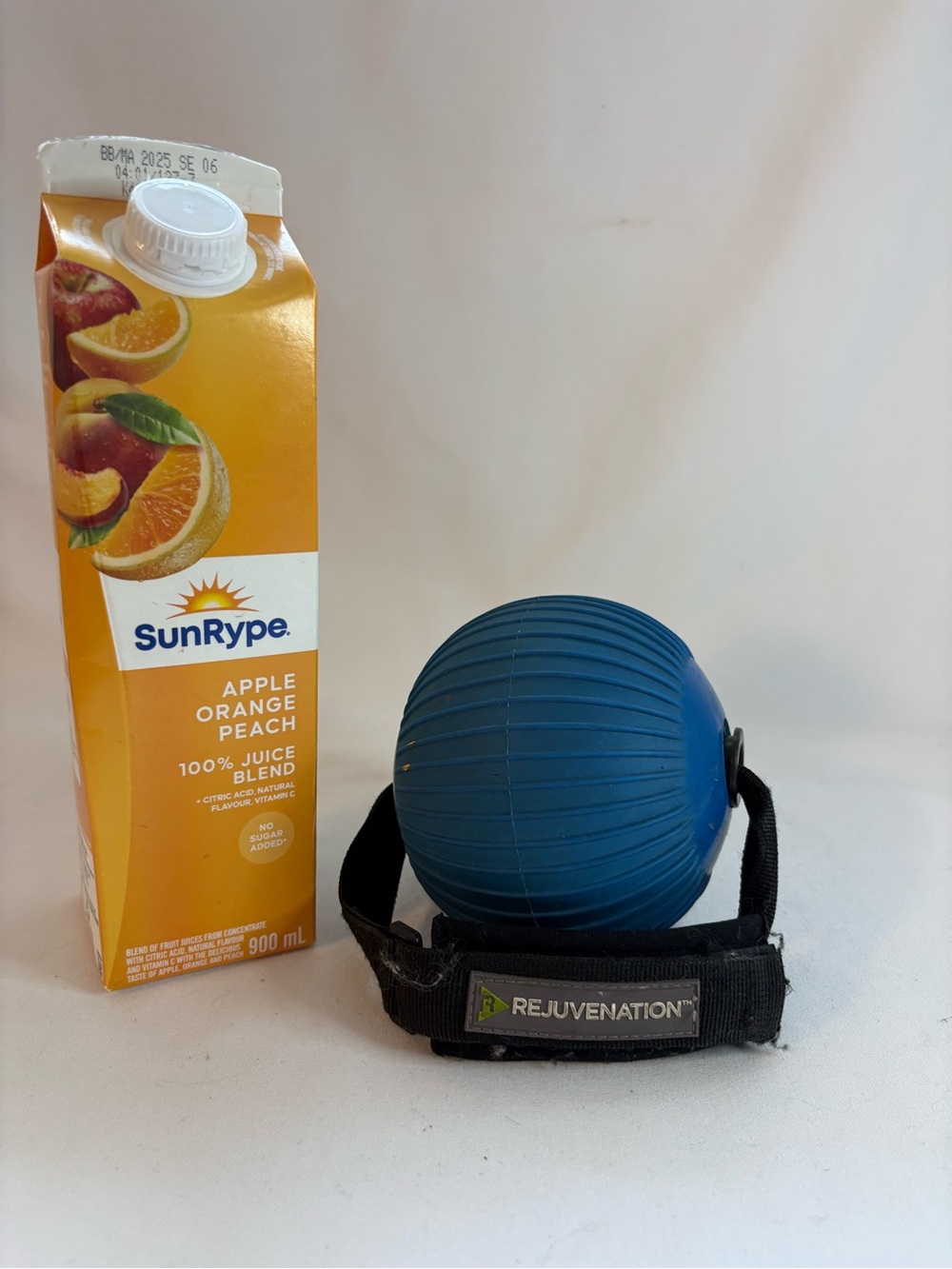 Rejuvenation -5 pound handled fitness ball